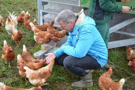 Olaf Müller füttert Hühner neben dem Hühenrmobil der Familie Voigt