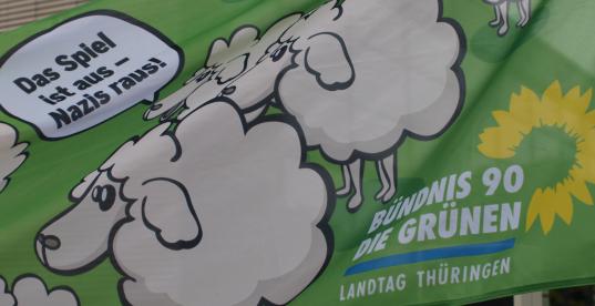 Bild zur Pressemitteilung: Landtag_Demonstration_2012@B90GR